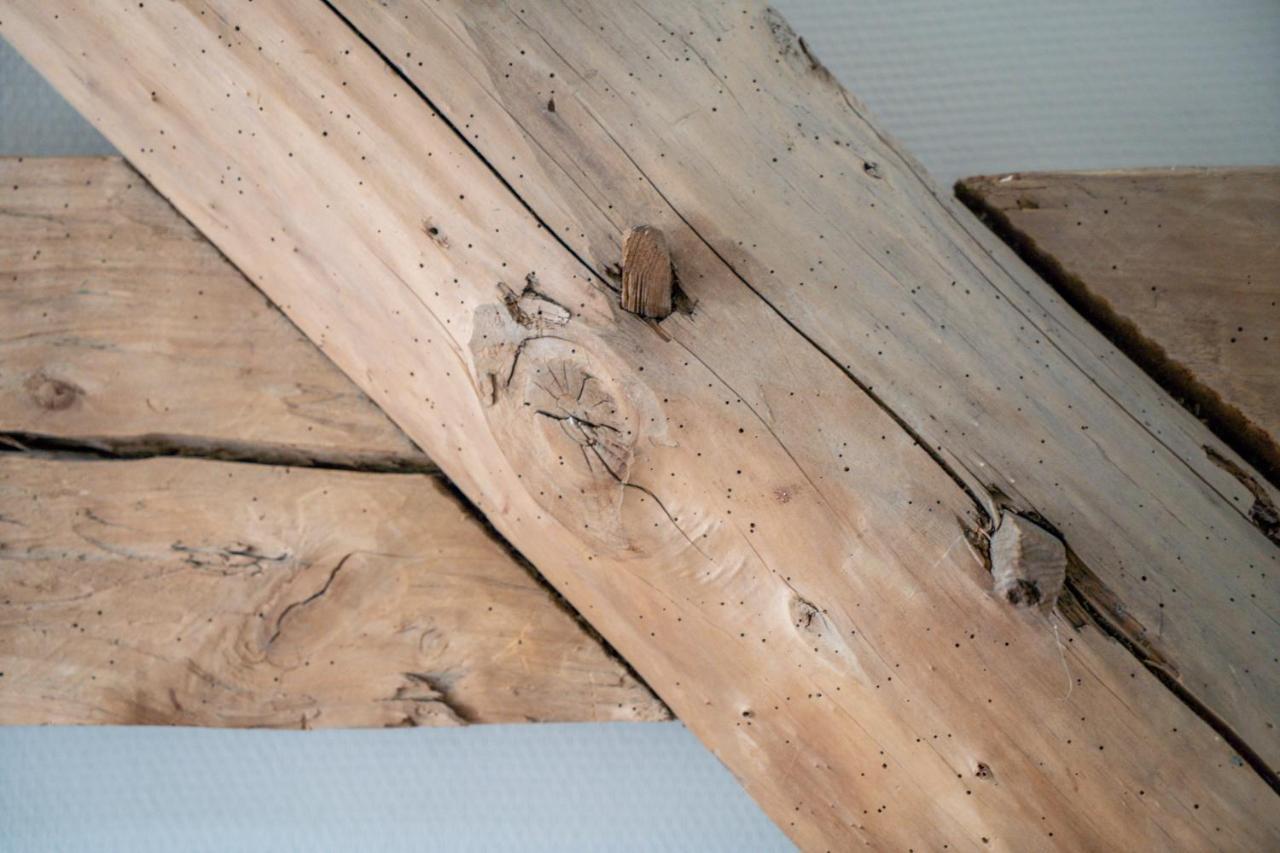 Hoeve De Bongerd بيسيل المظهر الخارجي الصورة